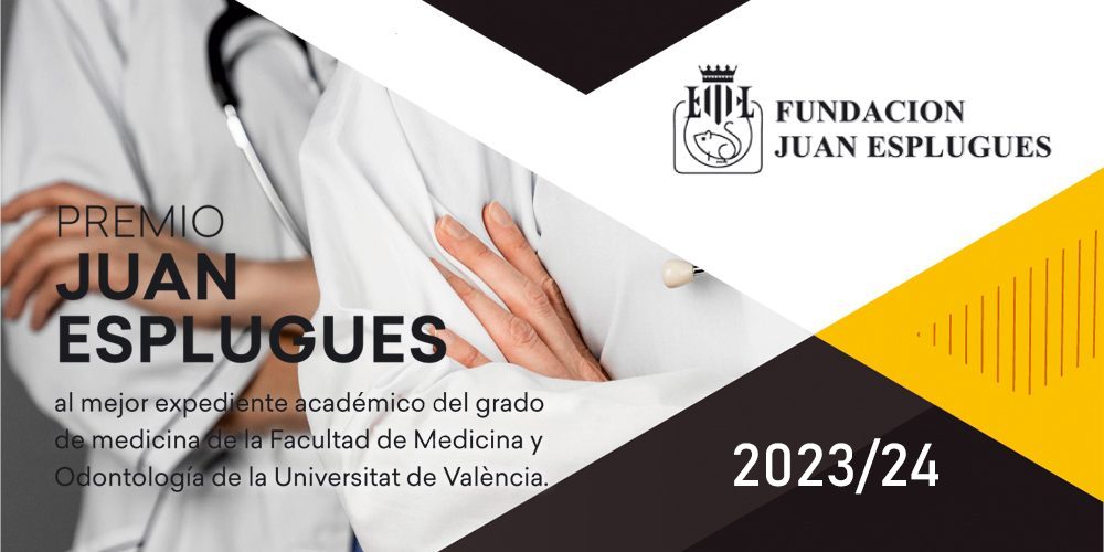 Imagen en miniatura de entrada