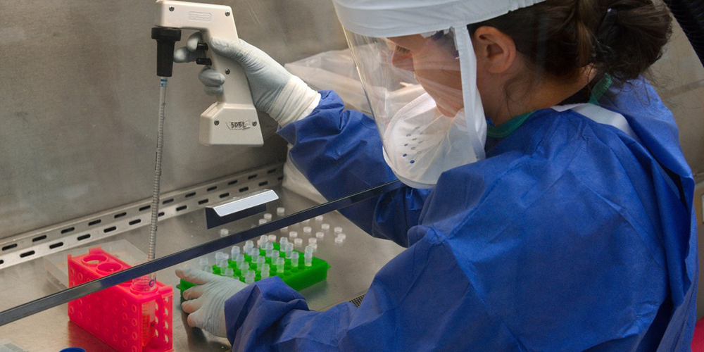 Imagen en miniatura de entrada