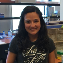 Laura Gisbert Ferrándiz