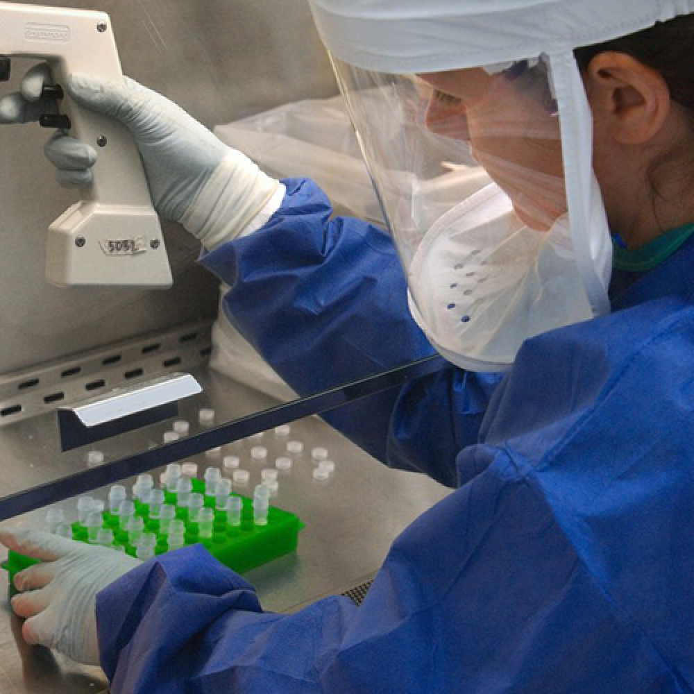 Fin plazo solicitudes